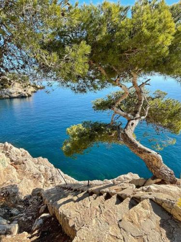 Villa Calanques