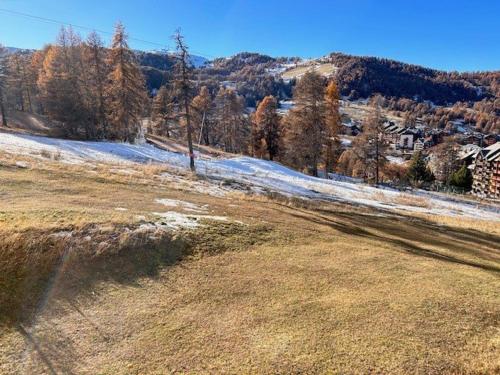Appartement à Risoul, balcon, 2 pièces, 6 couchages, parking, animaux admis - FR-1-330-572 (Appartement a Risoul, balcon, 2 pieces, 6 couchages, parking, animaux admis - FR-1-330-572) in 里蘇爾