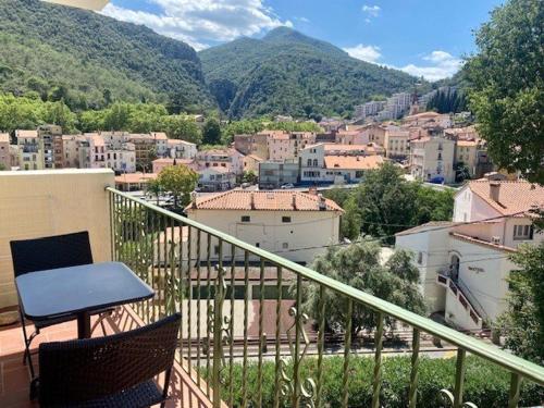 Studio Amélie-les-Bains-Palalda, 1 pièce, 2 personnes - FR-1-703-166 - Apartment - Amélie-les-Bains-Palalda