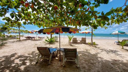 Bright Apartment Close to Amazing Beach ! 39 Sqm