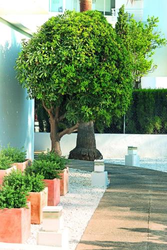 Apartamentos Sivella