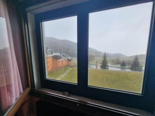  Rosa delle nevi in San Massimo