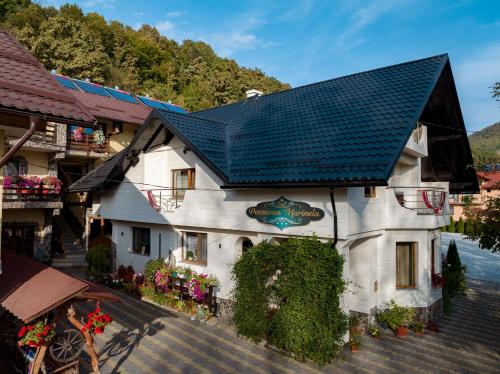 Accommodation in Municipiul Sighetu Marmaţiei