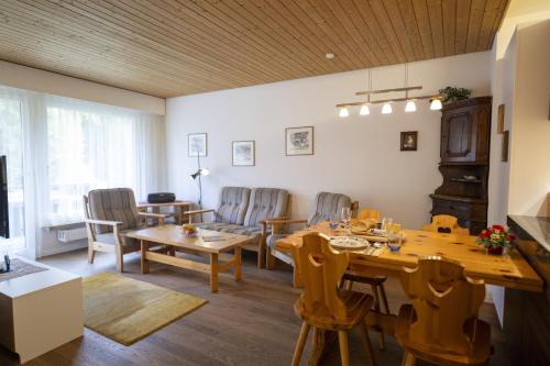 Brentschpark Wohnung C 96 - Apartment - Scuol