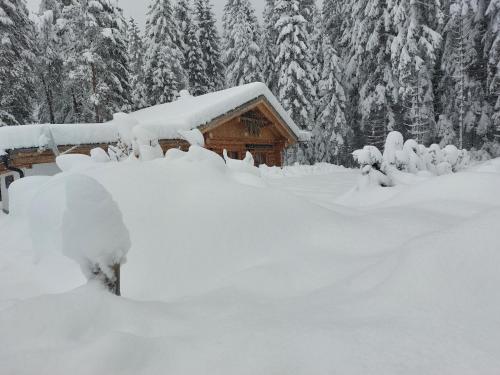 One-Bedroom Chalet