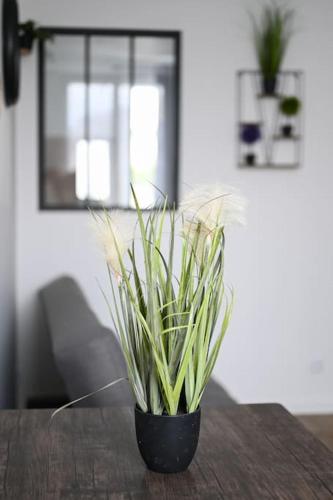 Le Petit Cocon - Docks Vauban Le Petit Cocon - Docks Vauban