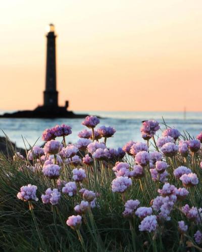 La petite maison de Coline gîte à louer Réville