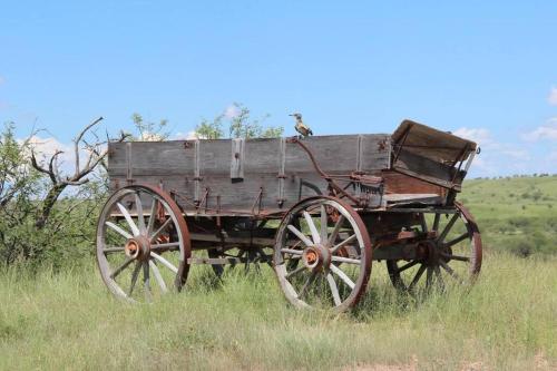 Gallo Libre Ranch House in Arivaca, AZ