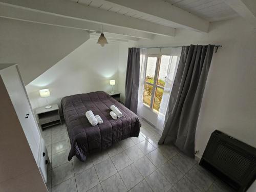 El Condor Fueguino II - Apartment - Ushuaia