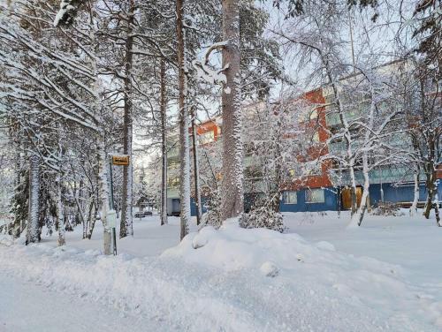Bližnja okolica, Spacious apartment with balcony and free WiFi in Ylikyla