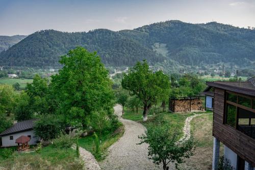 Kilátás, Open View Place The Old Barn in Pângărăcior