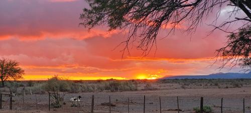 Soetdorings Farmstay Karoo Chalet