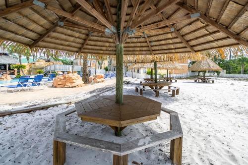 Tropical Therapy 5Cu By Pkrm - image 4