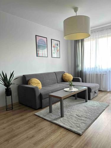 ApartBroniewskiego - Apartment - Toruń