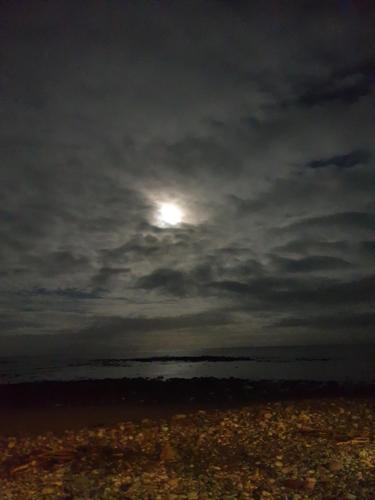 Bayview Bed and Breakfast - image 8