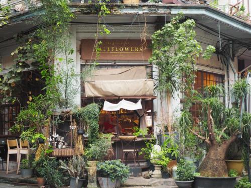Noir Cafe And Hostel