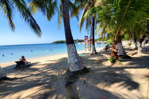 Közeli látványosságok, Hotel Caribbean Inn in West End