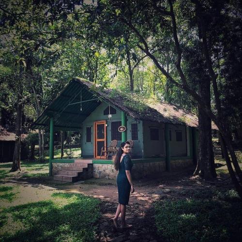 Dandeli Wild Jungle Resort