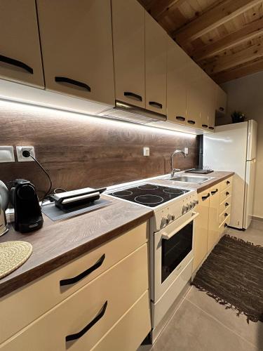 Celeste Loft, Tríkala (fotografie 8)