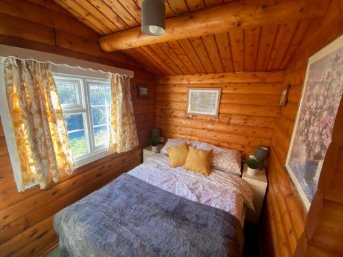 Cosy Log Cabin Snowdonia Eryri in Trawsfynydd