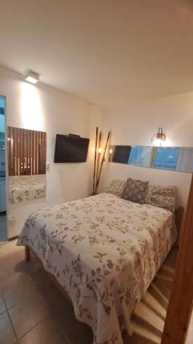 Departamento monoambiente amplio