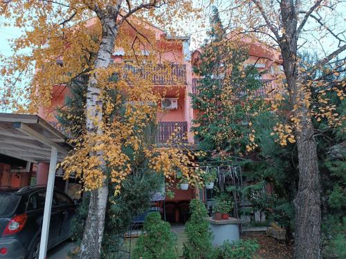베오그라드 Apartments & Rooms -MDL Lazić (Apartments & Rooms -MDL Lazic) 4성급 게스트하우스 로비