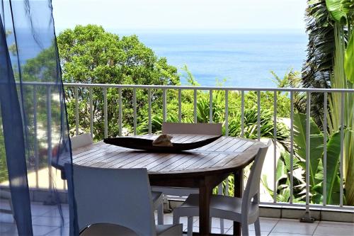 location COTE-MER avec vue mer et piscine