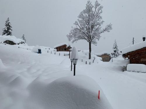 Griesalp Hotels - image 9