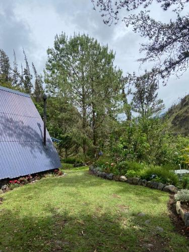 The lookout Hideaway cabin