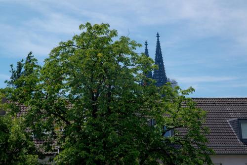 Haus am Dom - Apartments und Ferienwohnungen, Cologne (photo 5)