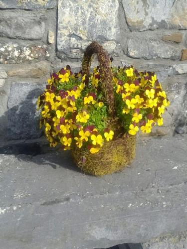 The Stable, Bennettsbridge, Kilkenny