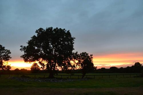 The Stable, Bennettsbridge, Kilkenny