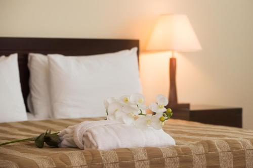 Jumbo Hotel - image 11