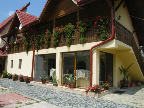 Viesnīcas āriene, Pensiunea Casa Filoxenia in Horezu