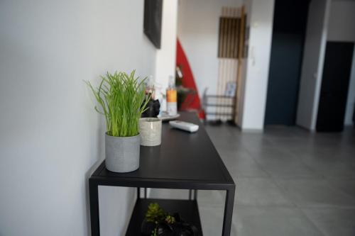 Shared lounge/TV area, L'elegance Citadine - T2 55m2, salon climatise pres de McDonald in Cayenne