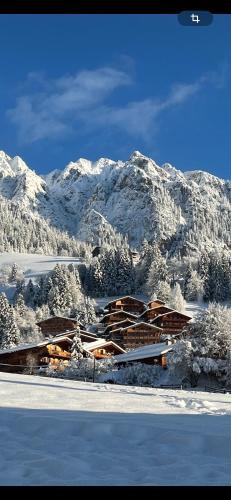 Tirol Juwel