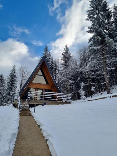 Gorska bajka - Borovica, planinska kuća za odmor i wellness - Chalet - Stara Sušica