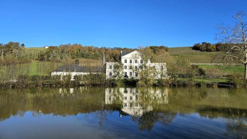 Chateau Roquehort - Accommodation - Monein