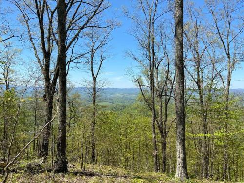 Country views and hikes.