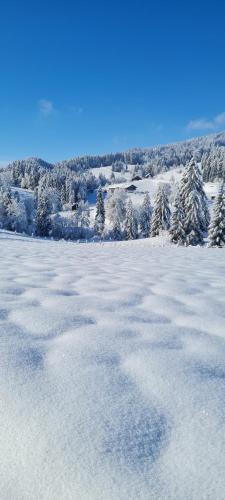 Landhaus Eibelesee