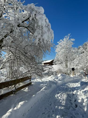 Landhaus Eibelesee