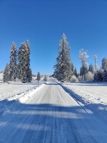 A környék, la ferme de la gaby in Le Noirmont