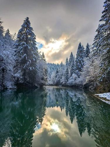 Dvije lipe in Tomići Vrbovsko