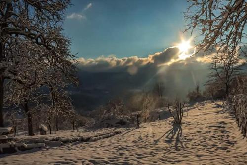 Dvije lipe in Tomići Vrbovsko