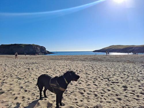 Pass the Keys Modern en-suite room in country PubRestaurant 4 Pass the Keys Modern en-suite room in country PubRestaurant 4