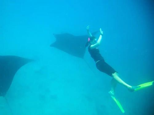 White Sandy Beach-Best Manta Snorkeling