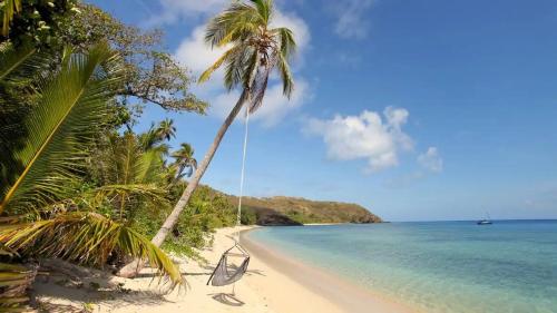 White Sandy Beach-Best Manta Snorkeling