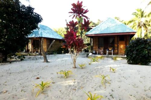 White Sandy Beach-Best Manta Snorkeling