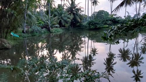 View, ULPATHA ECO LODGE in Kurunegala Town Central