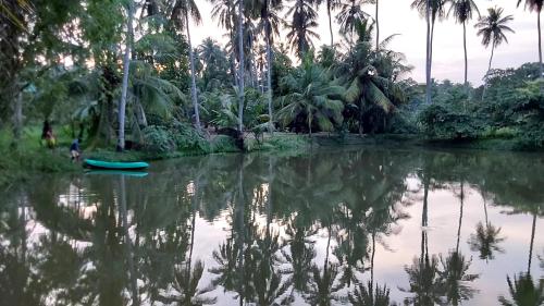 View, ULPATHA ECO LODGE in Kurunegala Town Central